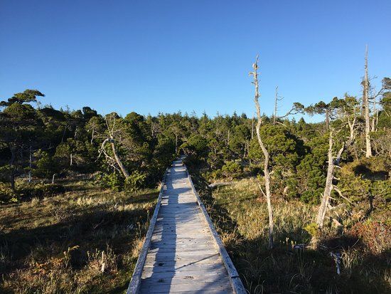 Kennedy River Bog Provincial Park